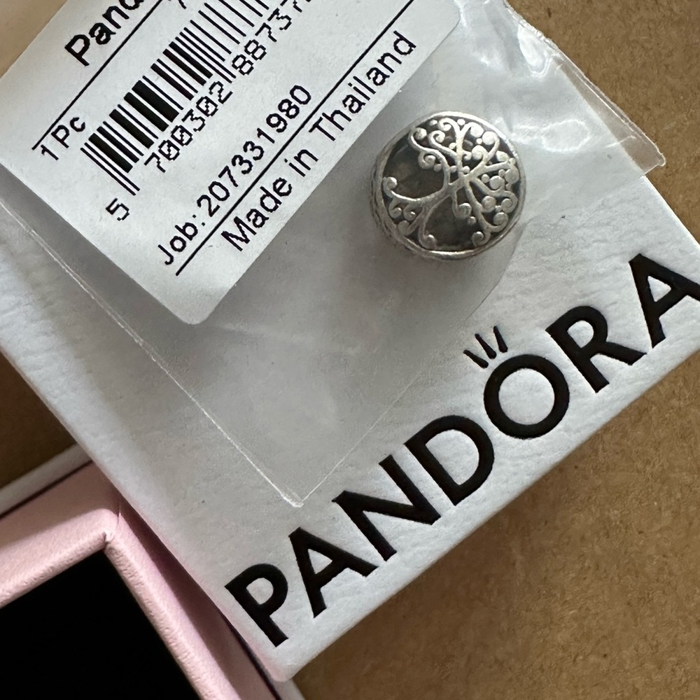 Pandora Silver Family Charm
